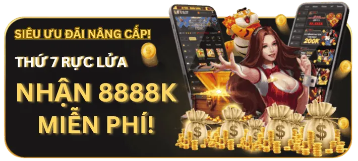 Giao diện sử dụng 888p code
