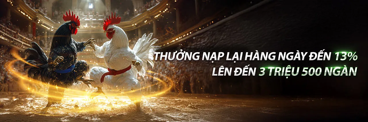 Giao diện ứng dụng 888p code với các trò chơi cá cược và ưu đãi độc quyền